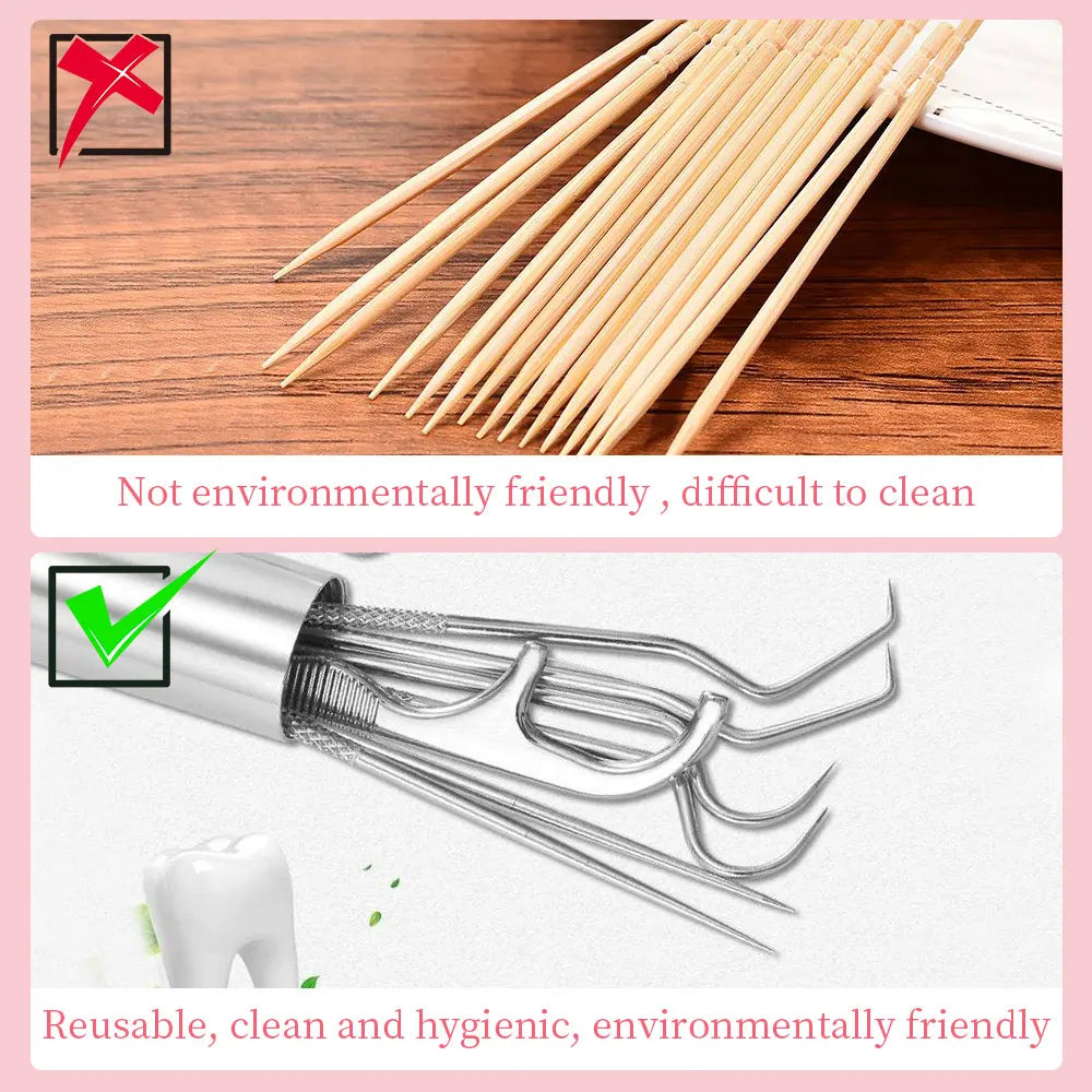 Stainless Steel Toothpick Set Reusable Toothpicks Tooth Flossing Tartar Removal Tool Portable Teeth Cleaner for Tooth Oral Clean